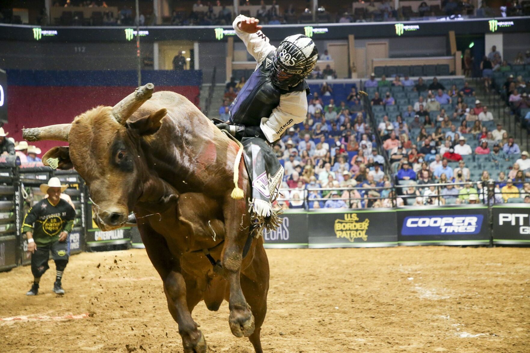 PBR Unleash The Beast